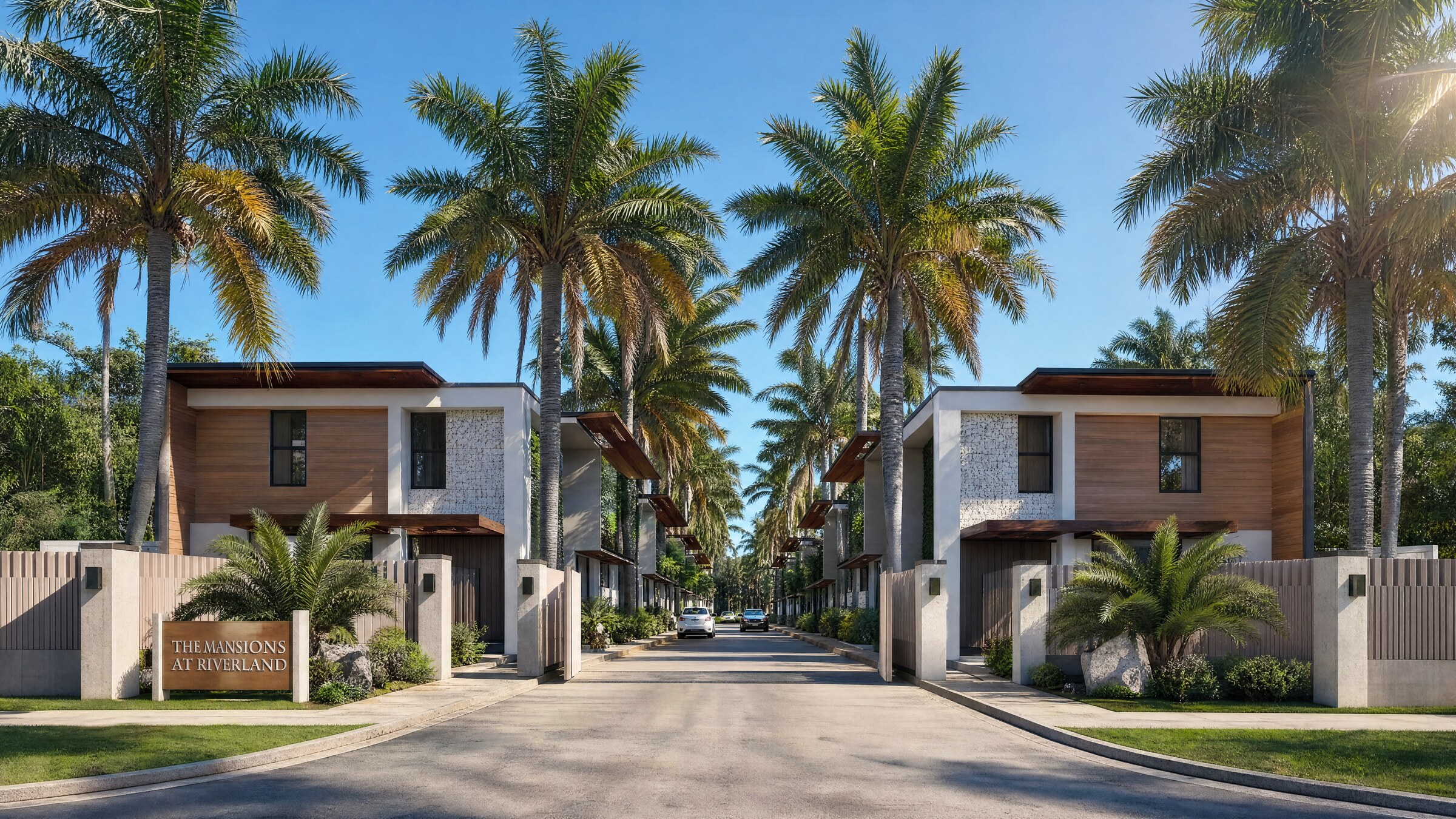 Palm-lined streetscape